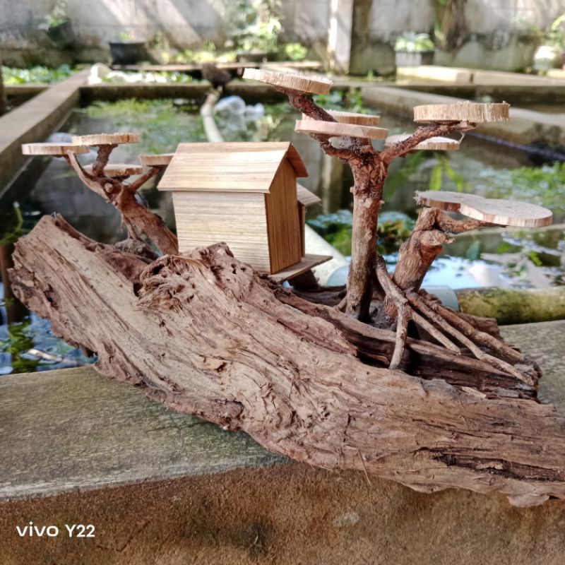 bonsai rumah dari kayu aquascape
