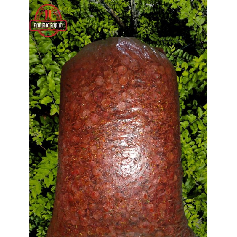 

PAKET USAHA 5KG Sosis goreng pedas daun jeruk Panghegar.id