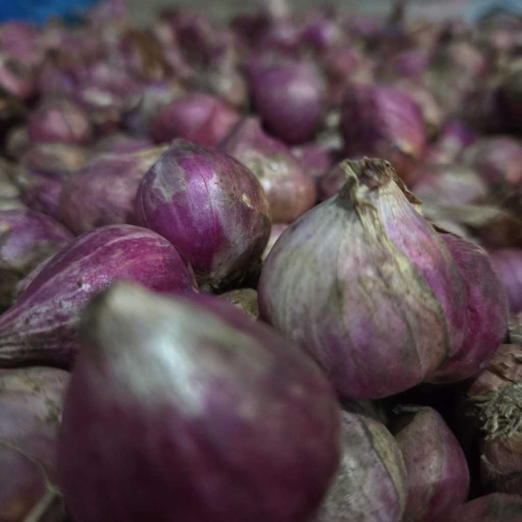 

BAWANG MERAH GALEKAN BANYUWANGI UKURAN BESAR