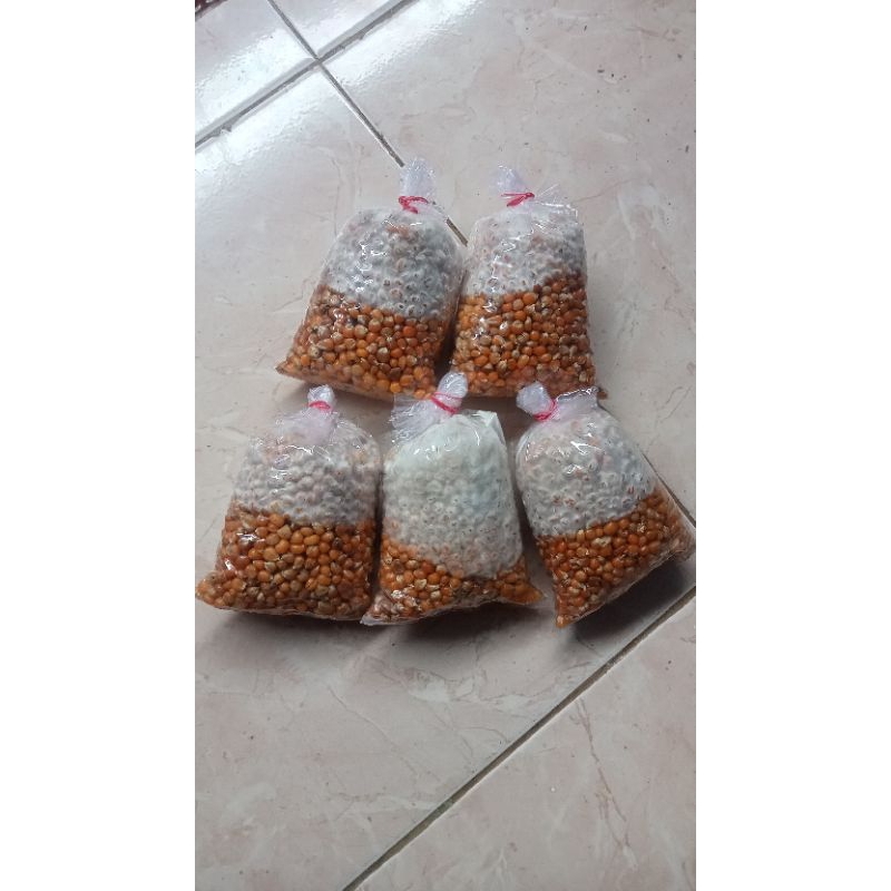 

Bibit Jamur Tiram F2