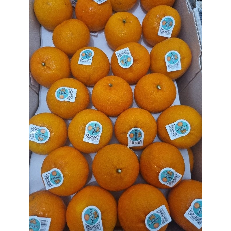 

jeruk wogan/wokam/jeeuk manis