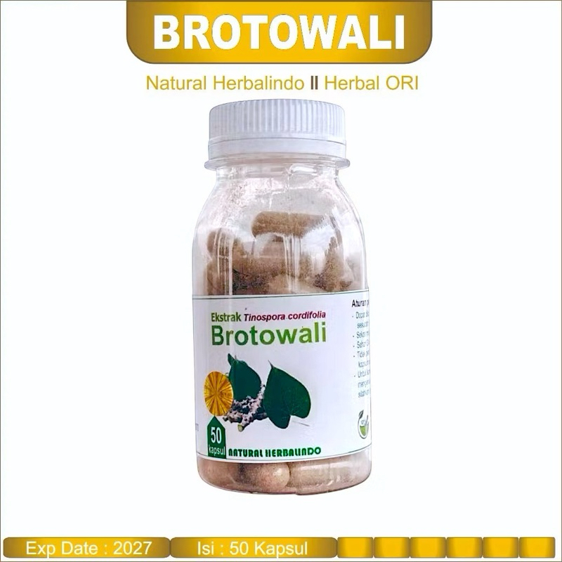 Obat Herbal Gatal Kulit Eksim BROTOWALI KAPSUL
