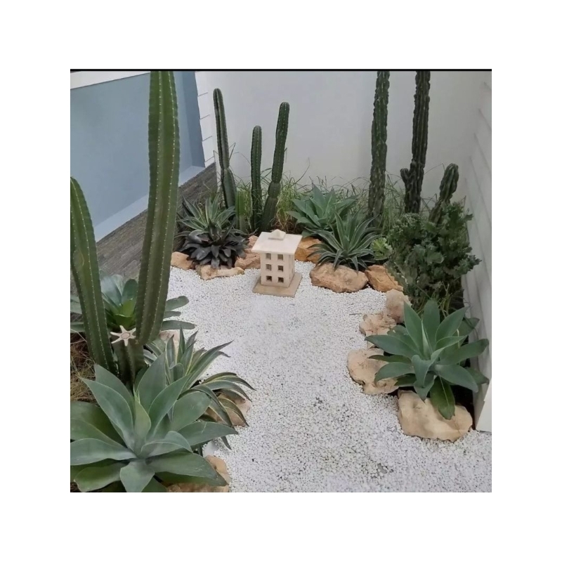 Jasa pembuatan taman kering batu itali