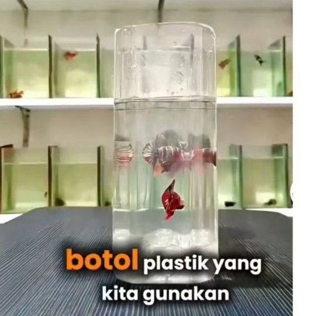 BOTOL IKAN CUPANG KOTAK BOTOL HIASAN PLASTIK BENING BEST SELLER