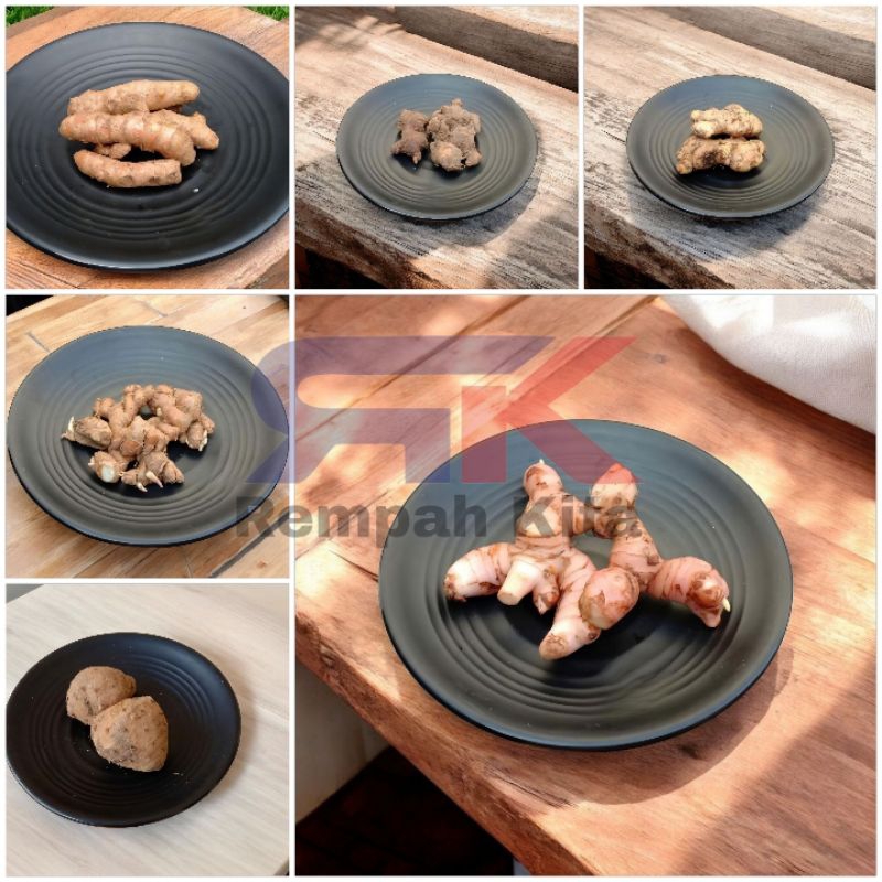 

Jahe / Kunyit / Lengkuas / Temulawak / Kencur