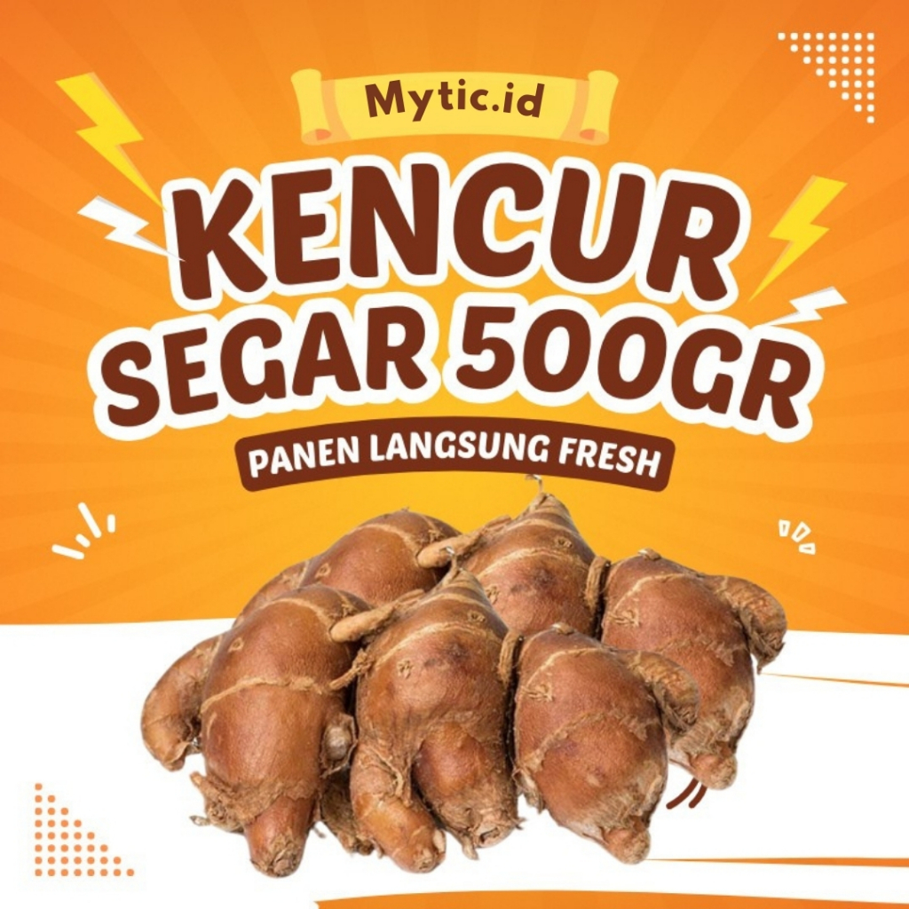 

Kencur Segar Kencur/Cikur 500 Gram Obat Herbal Sudah Sortir