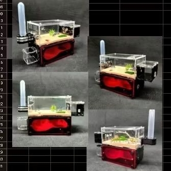 formicarium ant nest concrete cave kandang semut gua