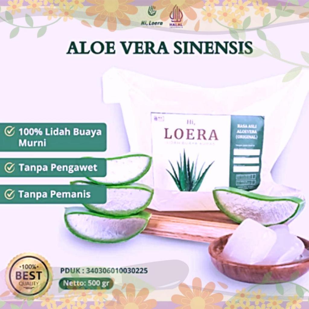 

Nata de Aloevera Aloe Vera Lidah Buaya Kupas Tanpa Pengawet dan Pemanis Obat Herbal Alami Atasi Masalah Asam Lambung Maag
