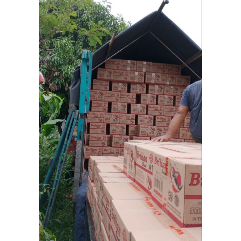 

QH Sarden Brilian155 Gr 1 Karton Isi 50 Kaleng Exspayer 2028