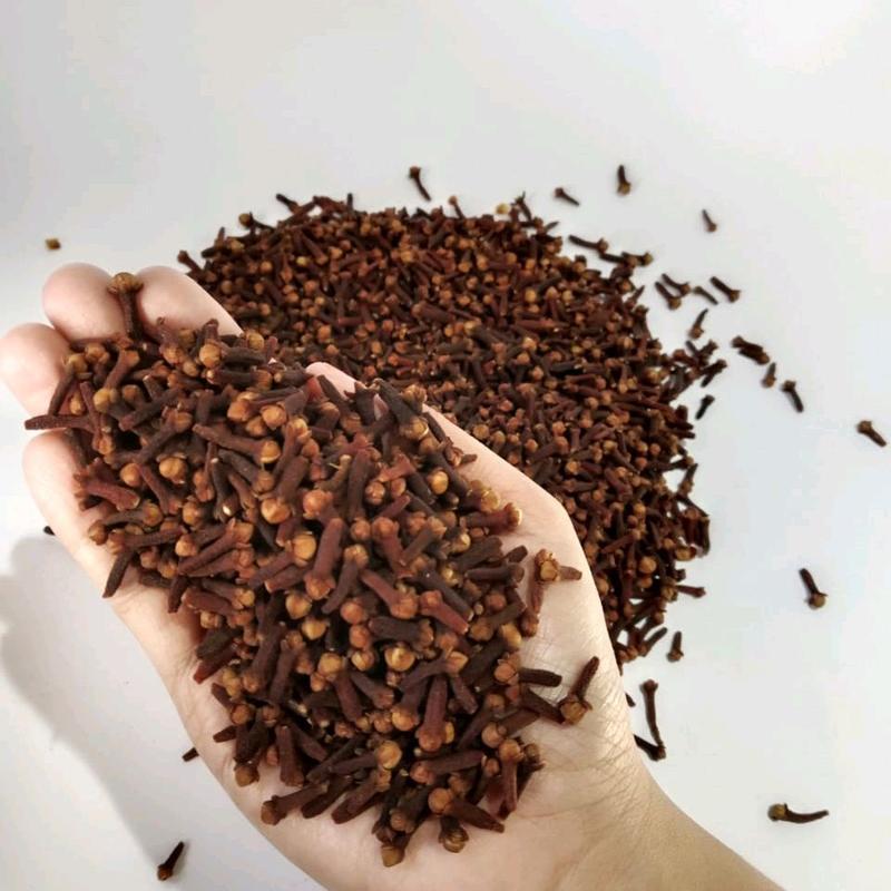 

Cengkeh Kering Premium 1kg Bersih Dan Wangi