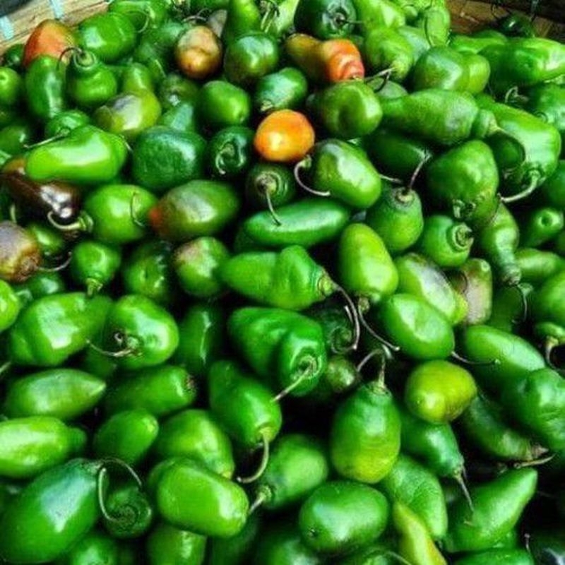 

Cabe Gendot 250gr