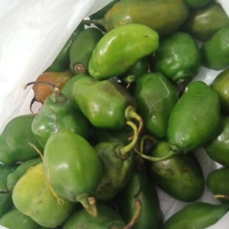 

cabe gendot hijau fresh