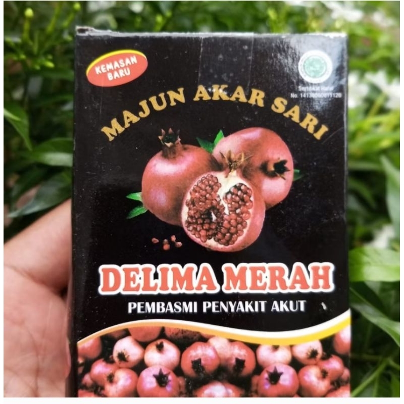 MAJUN AKAR SARI KOTAK HITAM STAMINA PRIA