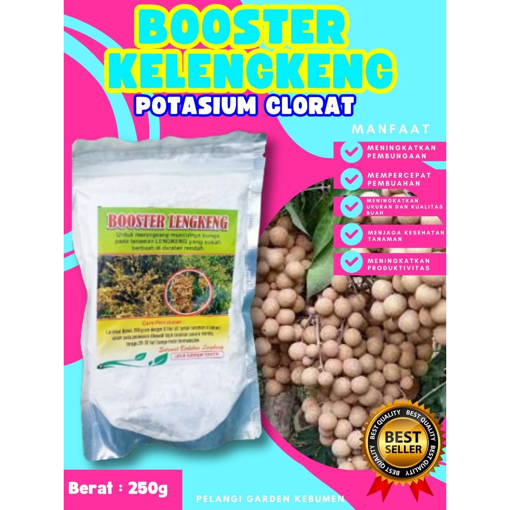 DIJAMIN ASLI  Booster Kelengkeng Kcl03, Booster Kelengkeng Kclo 3 Murni, Booster Kelengkeng Kclo 3