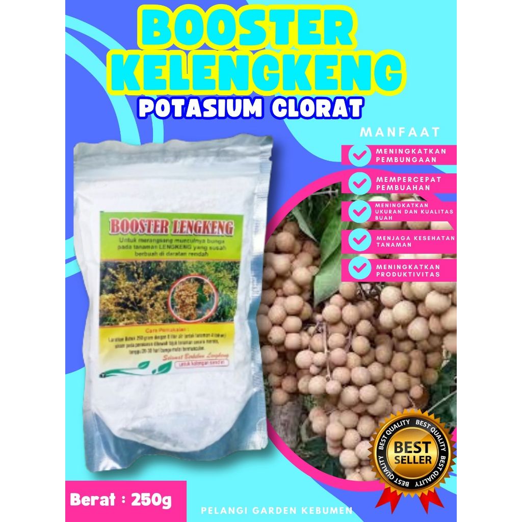 BEST SELLER  Booster Kelengkeng Kclo 3 Murni, Booster Kelengkeng Kclo 3, Booster Kelengkeng Kclo