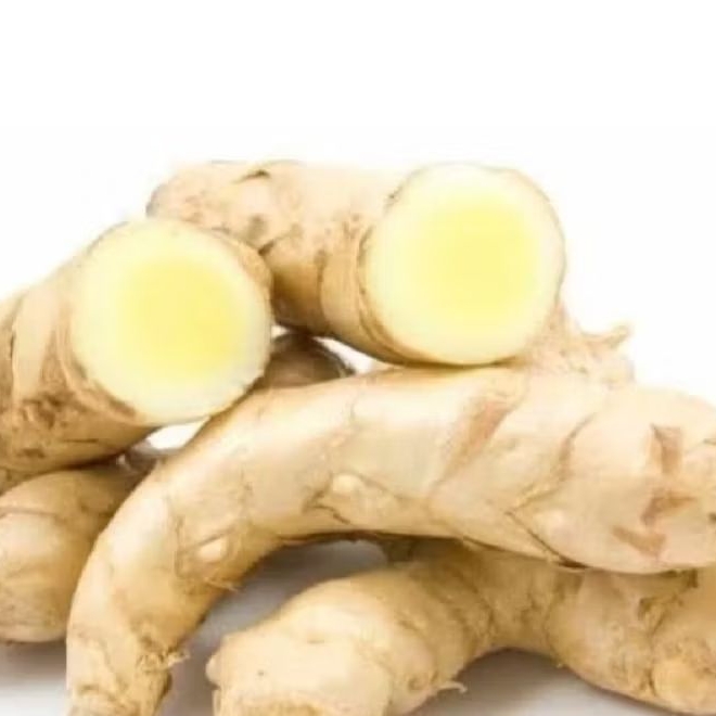 

kunyit putih segr obat jamu tradisionl 500 grm