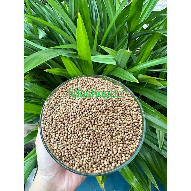 

ketumbar 1kg, 500gram , 100gram