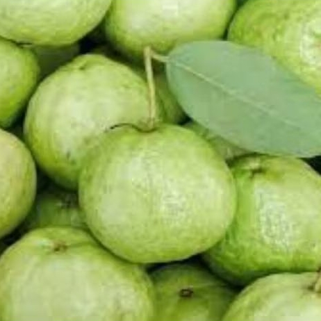 

Jambu Kristal 1 Kg