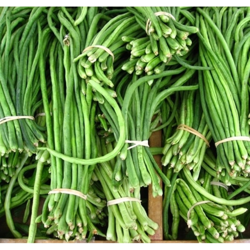 

Kacang Panjang 1 ikat