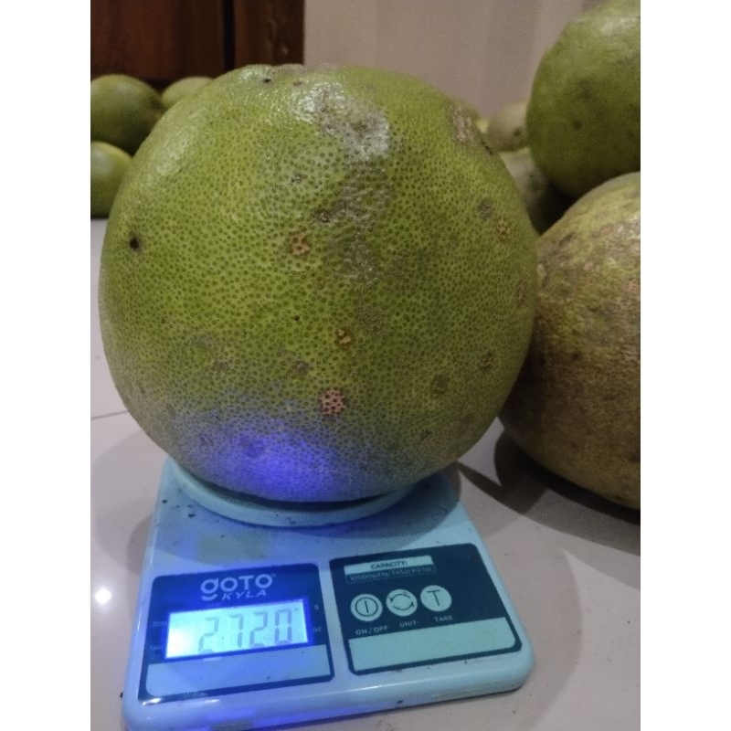 

jeruk premium berat 2,7 kg -3kg super jumbo bergaransi 100℅