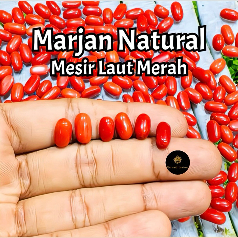 [HANYA BATU] Natural Batu Marjan Origional Mesir Laut Merah 100% Natural