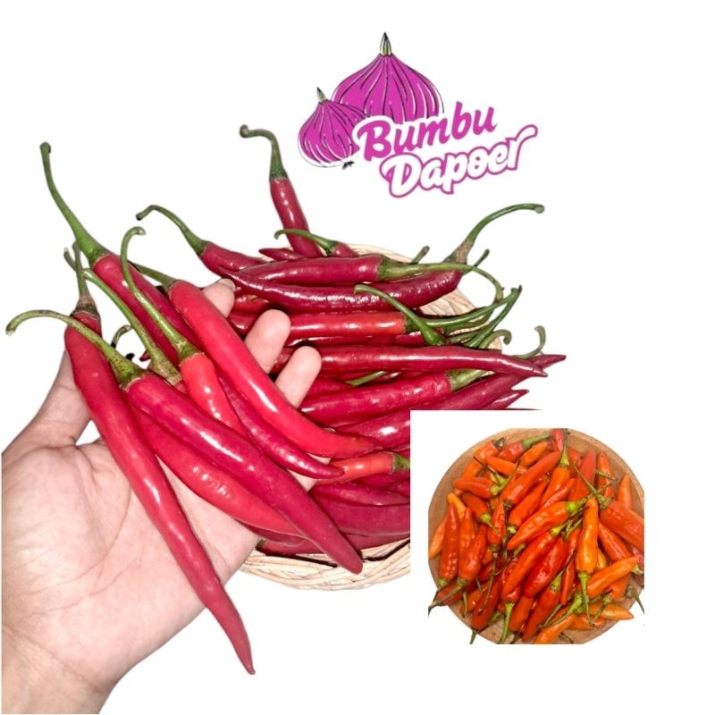 

Cabe Rawit isi Campur . Besar dan kecil 500gr & 1kg