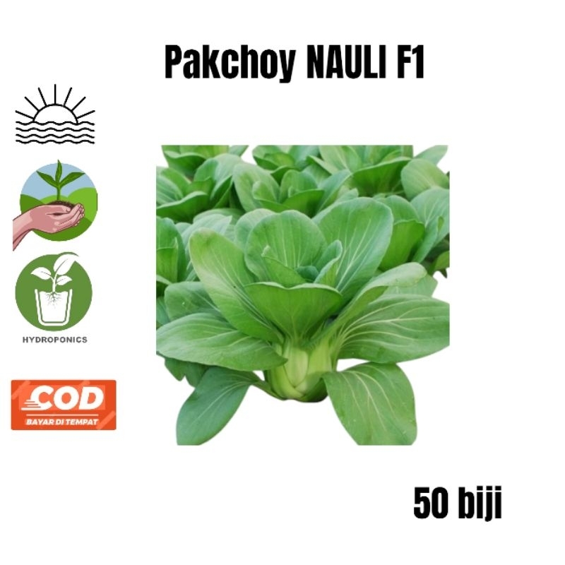 

50 biji Benih Sawi pakchoy NAULI F1