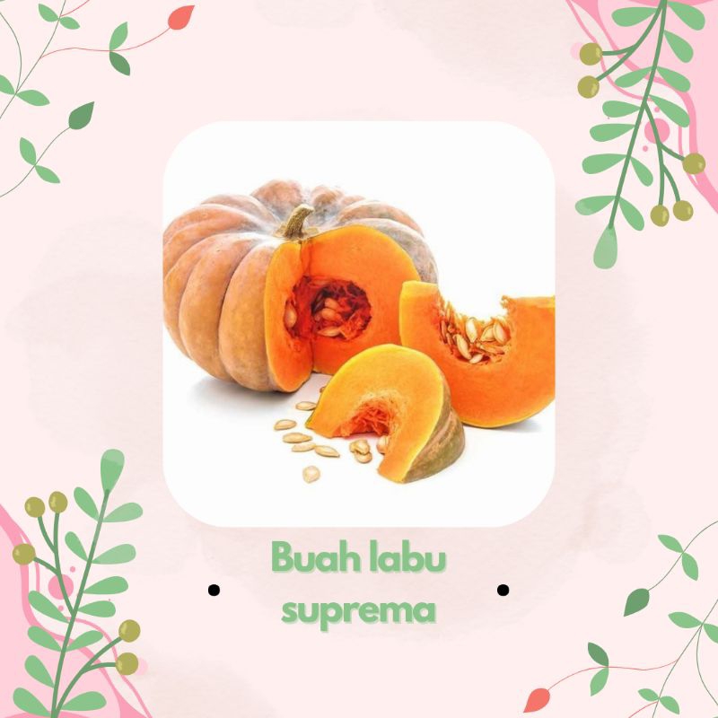

LABU SUPREMA PER 3 KG MURAH