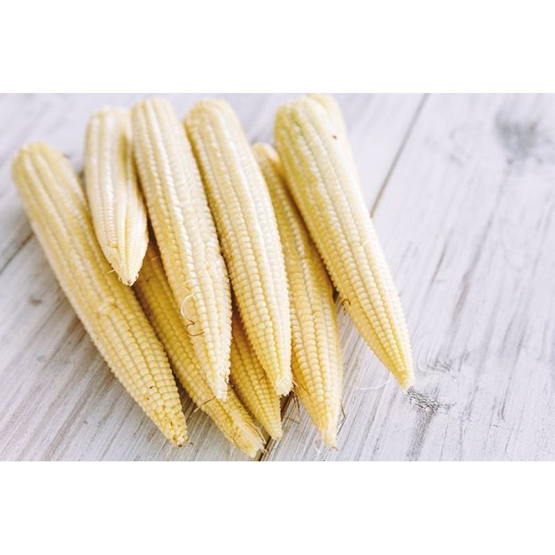 

JYOTI JAGUNG ACAR / BABY CORN 250 GR