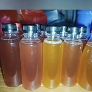 

Air Bibit membuat scooby Kombucha