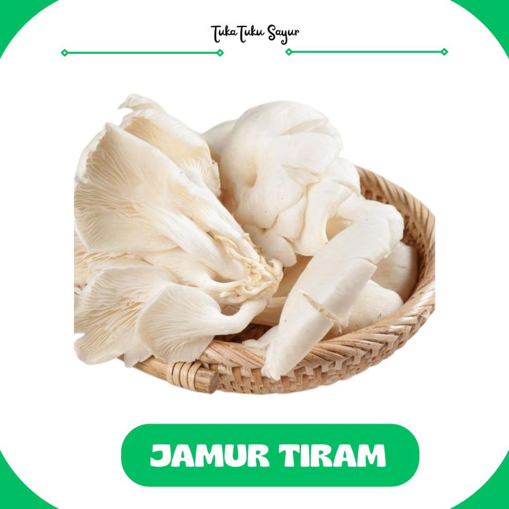 

JAMUR TIRAM FRESH per pack - TukaTuku Sayur