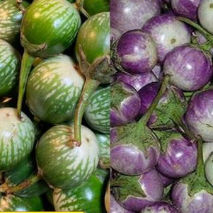 

Terong Bulat Terong Lalap Fresh Segar 100 Gram lalapan sayur