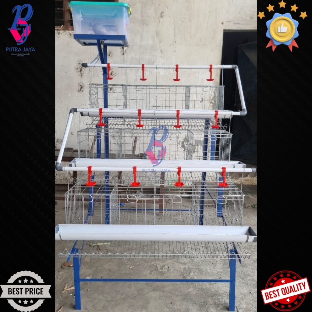 Paket Kandang Ayam Petelur Fullset Aksesoris Lengkap Rumahan Modern
