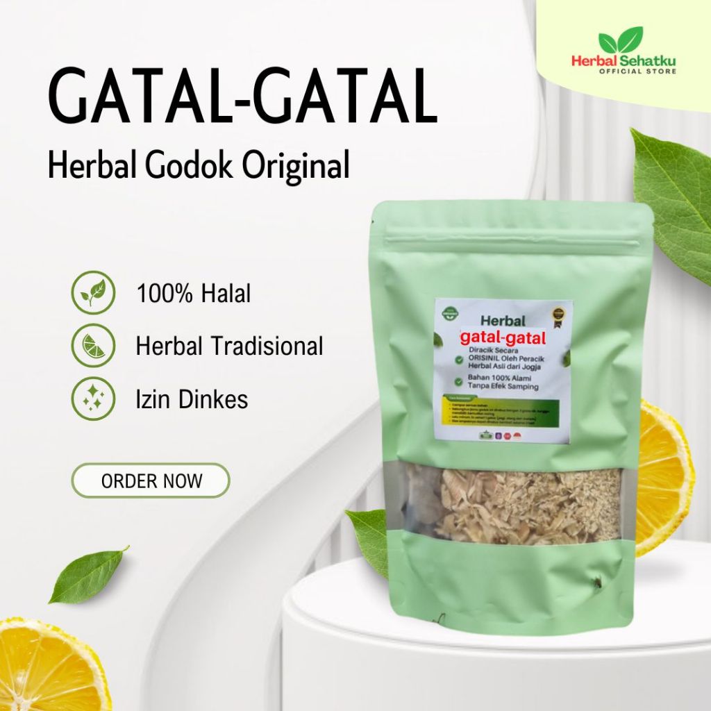 

Herbal Sehatku - Jamu Godog Gatal Gatal alergi