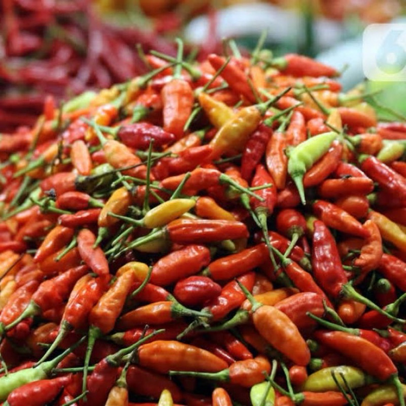 

Cabe merah rawit cabai cabe setan segar fresh 250gr 500gr 1kg