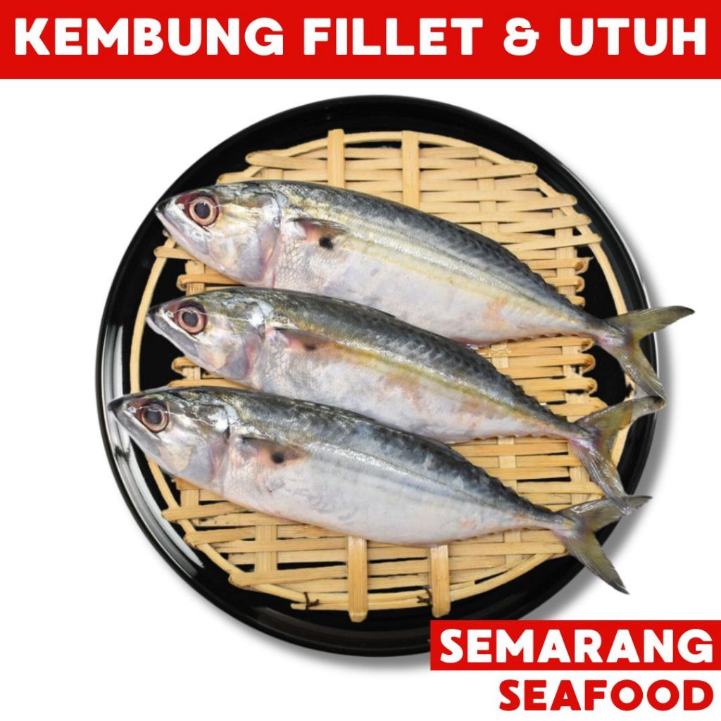 

Ikan Kembung Banjar Fillet & Utuh | Ikan Semarang | Ikan Segar Semarang | Ikan Fresh Semarang