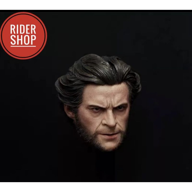skala 1/6 Headsculpt Hugh Jackman Wolverine X-Men Figure kitbash