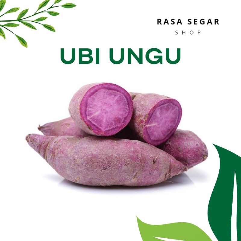 

Ubi Ungu Manis Lokal 1kg – Untuk Kue, MPASI, Rebus, Kukus – Fresh & Murah