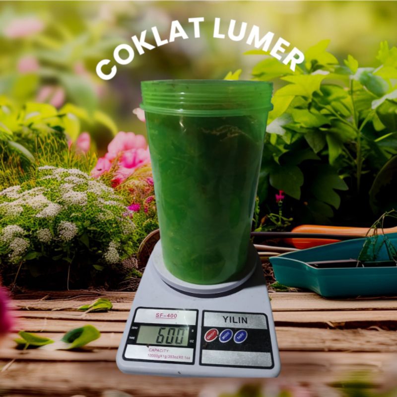 

Keripik Pisang Coklat Lumer TOPLES 600gram