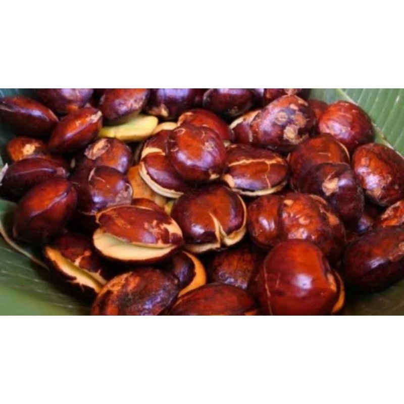 

jengkol 250gr