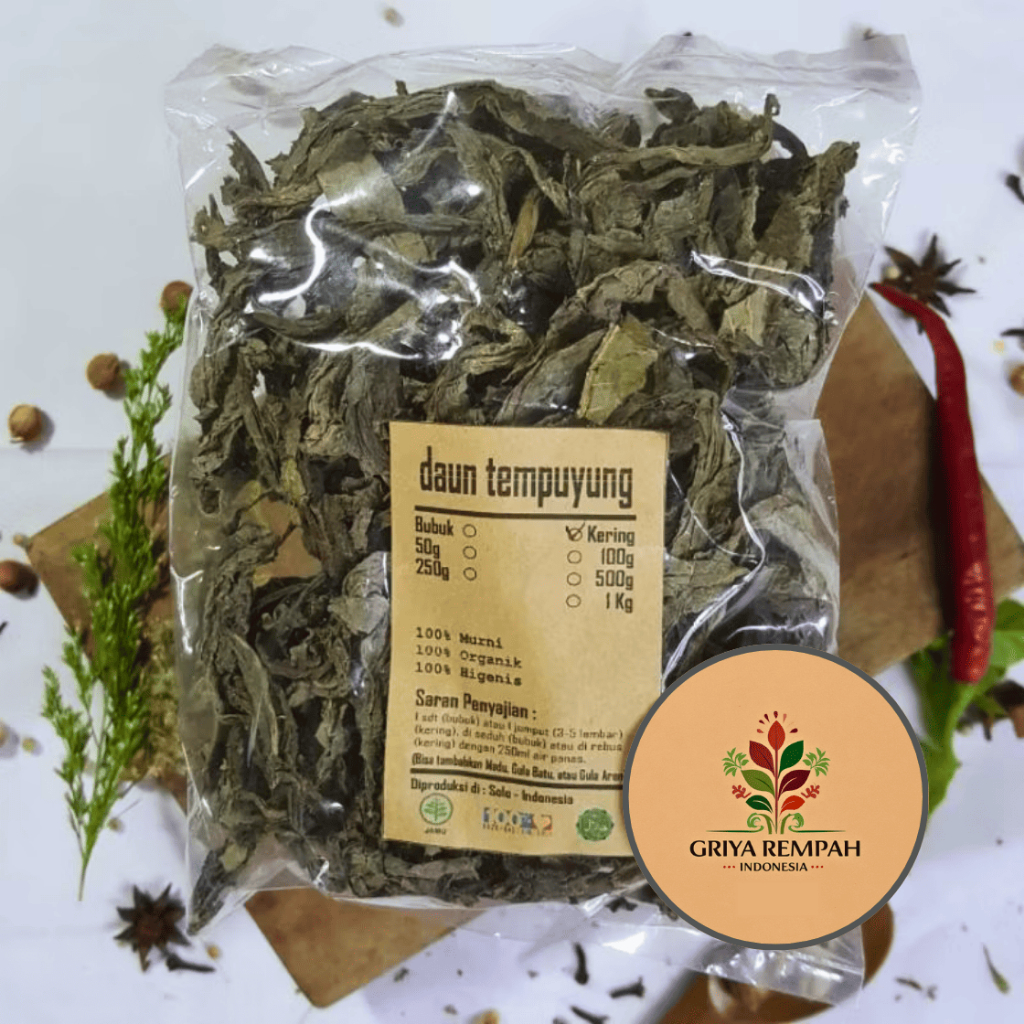 

DAUN TEMPUYUNG KERING 100 GRAM Jombang Lempung Rempah Herbal Simplisia Alami Peluruh Batu Ginjal Penurun Kolesterol & Detoksifikasi Hati Ramuan Jamu Tradisional Siap Seduh Kesehatan Ginjal Sonchus arvensis