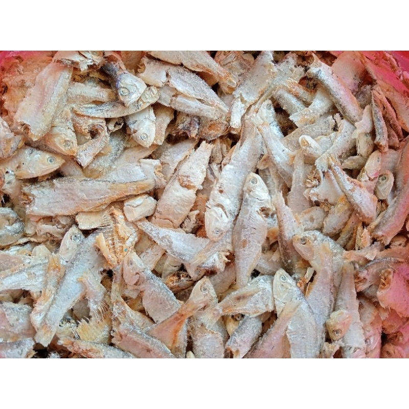 

Ikan Sampah Medan