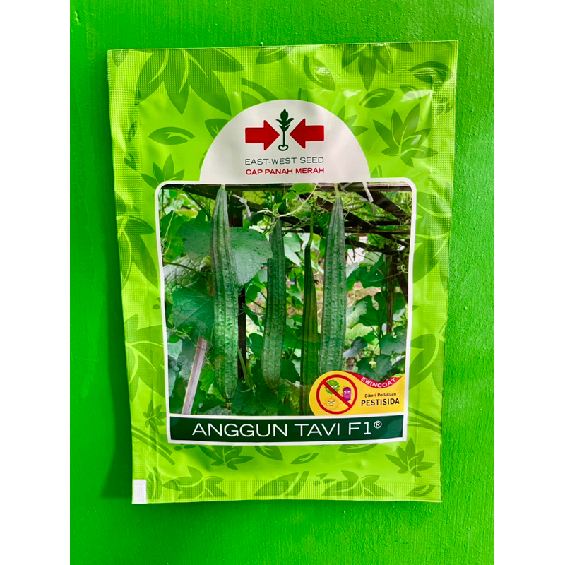 Benih Oyong Anggun Tavi F1/ bibit oyong anggun tavi F1