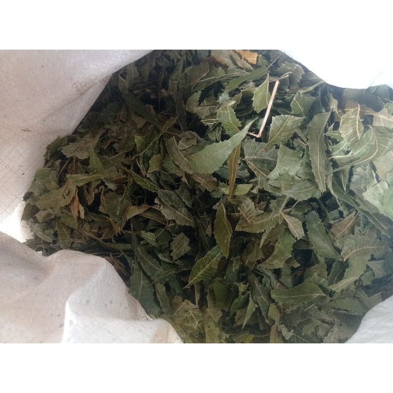 

Daun mimba (mimbo) kering 1kg