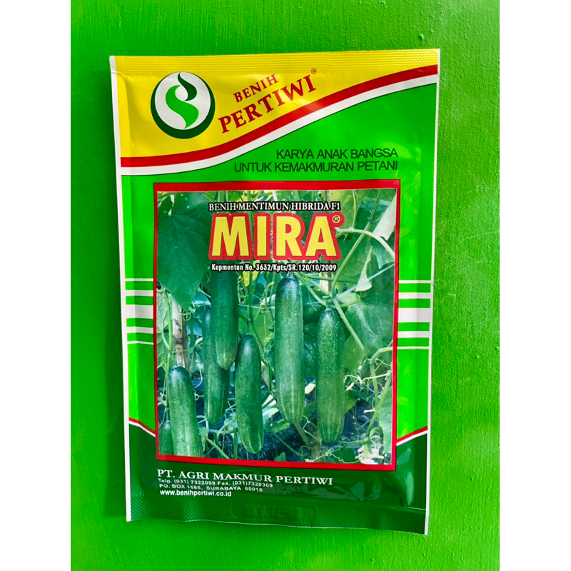 Benih Timun Mira 10gram Benih Pertiwi/Timun Hijau