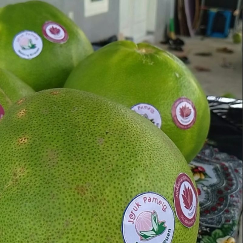

Aceh Area # Jeruk Pamelo Matang Bireuen 750gr - 900gr