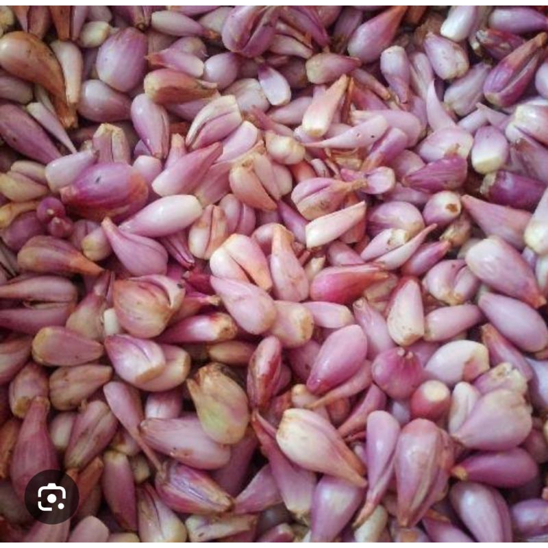 

BAWANG GORENG KUPAS (JM 1 kosong)