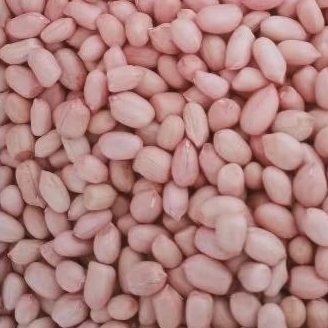 

READY !!! KACANG TANAH mentah kulit 1 liter