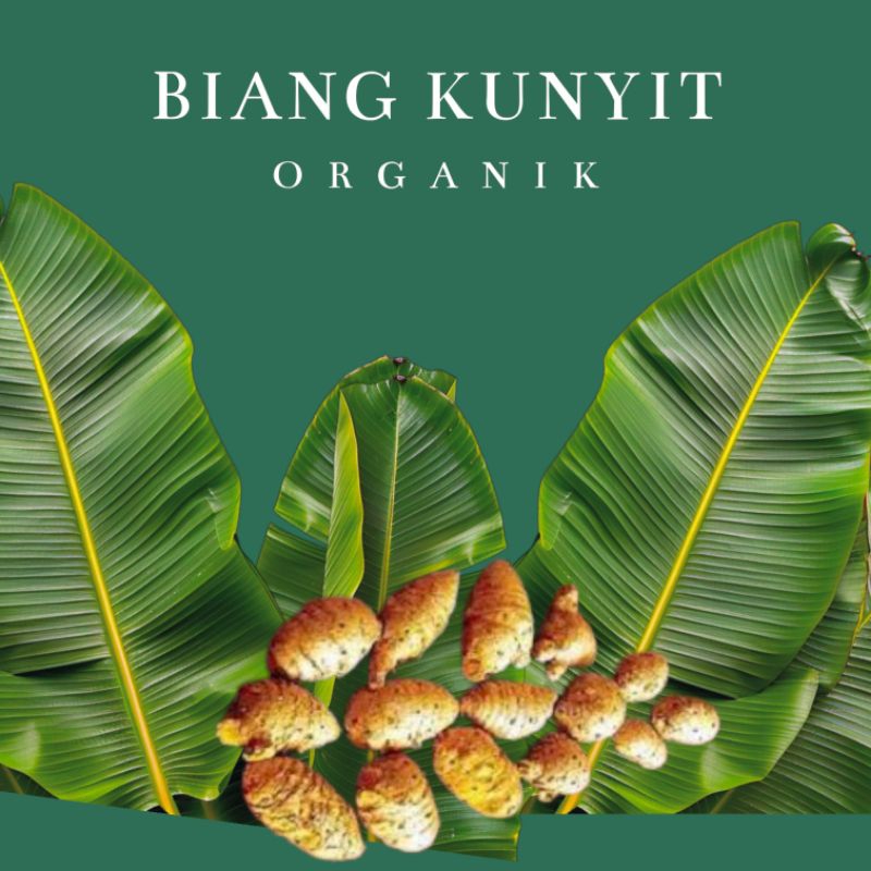 

BIANG KUNYIT ORGANIK 1 Kg