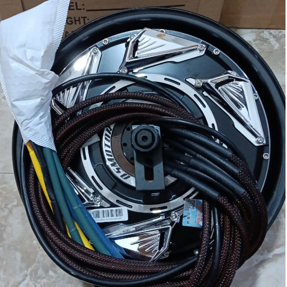 BLDC QS Motor 12 Inch Type Race WP 5000-20.000 Watt